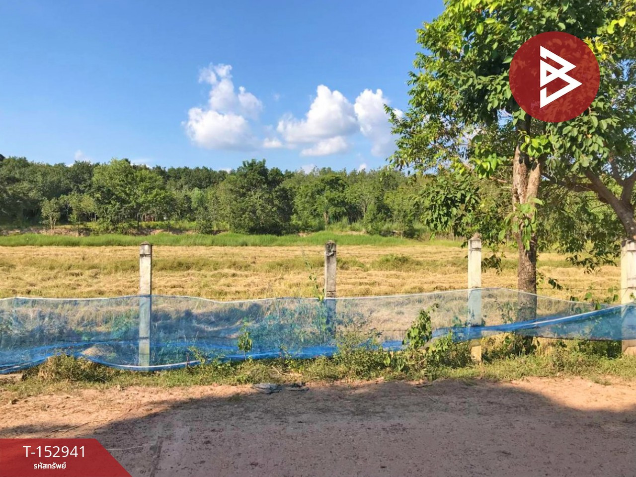 Land for sale, area 4 rai 3 ngan 63 square wa, Si Songkhram District, Nakhon Phanom, prime location. – รูปที่ 2
