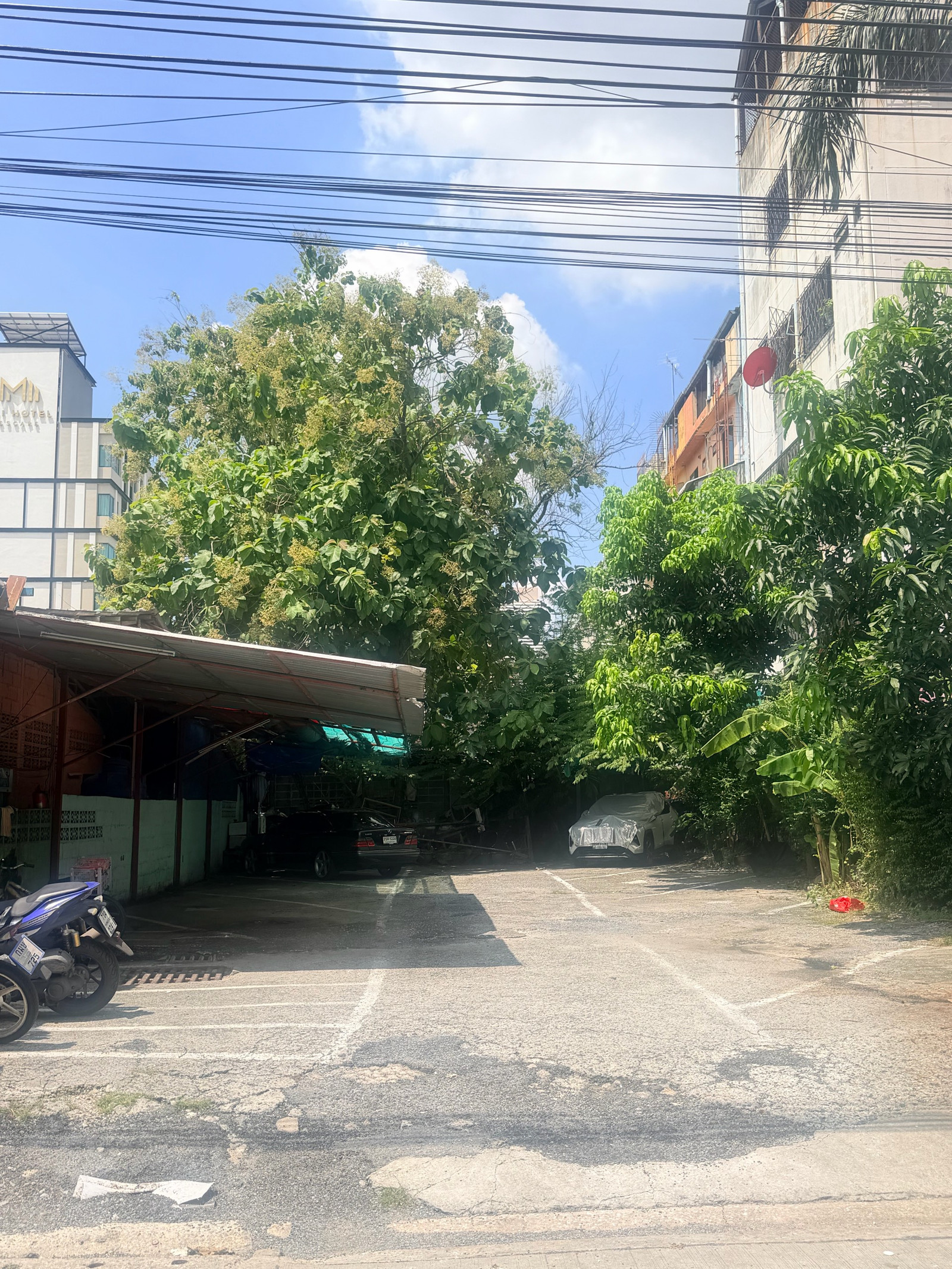 [ขาย] ที่ดิน ซอยสุภาพงษ์3 แยก3 แขวงหนองบอน เขตพระโขนง  – รูปที่ 4