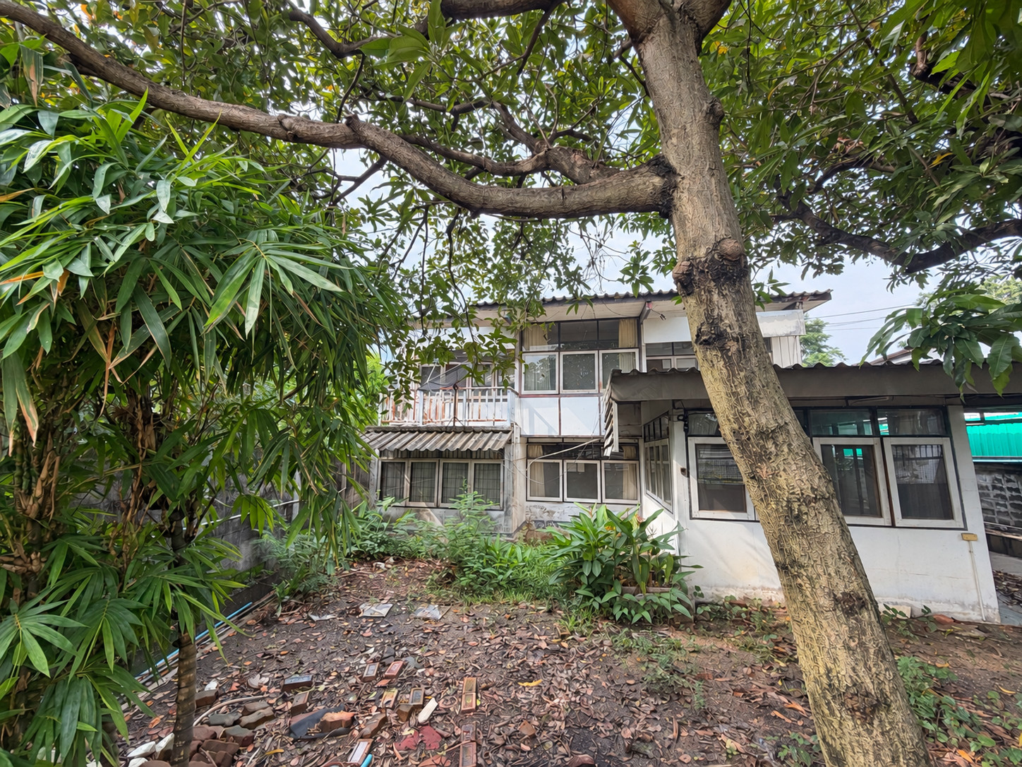 Single house for sale, Pridi Banomyong 26 | Patthanawet Soi 1 | Sukhumvit 71, available for renovation or new construction according to your needs. – รูปที่ 3