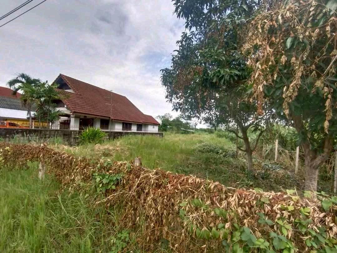 🏡 ปรับราคาแล้ว! ที่ดิน 85 ตร.ว. ใกล้เมืองเชียงใหม่ เพียง 2.38 ล้านบาท – รูปที่ 4