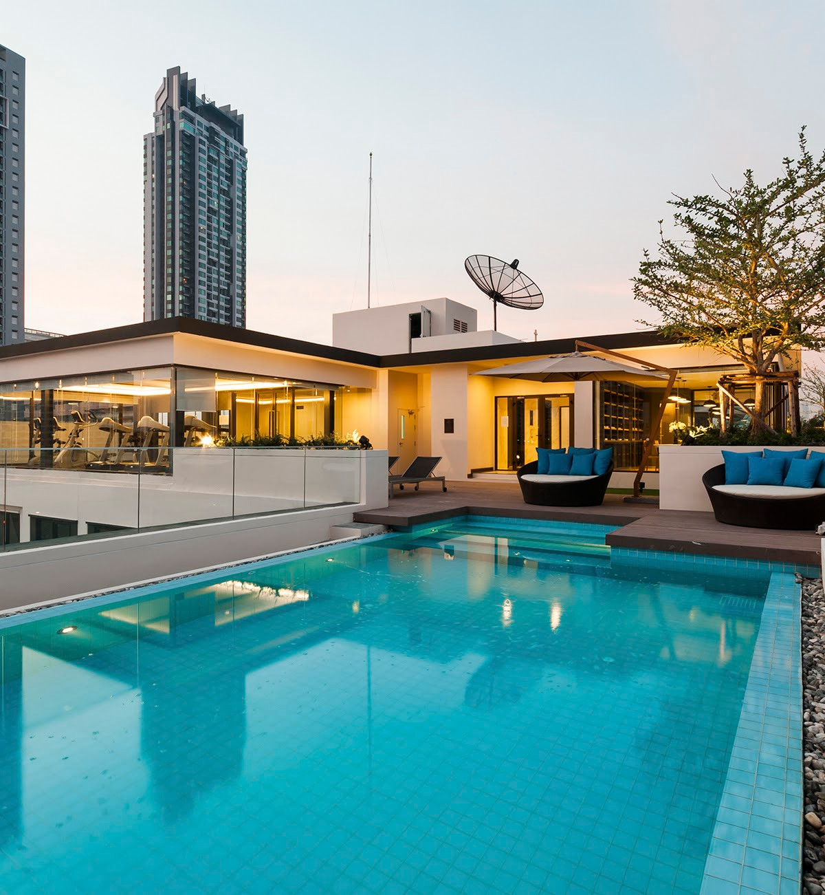 🐱🐶 รีบจอง ห้องไปไวมาก! Pet Friendly Maestro 12 1 Bed 1 Bath 30 sqm 20,000 ติดต่อ 0968623850 🐱🐶 – รูปที่ 4