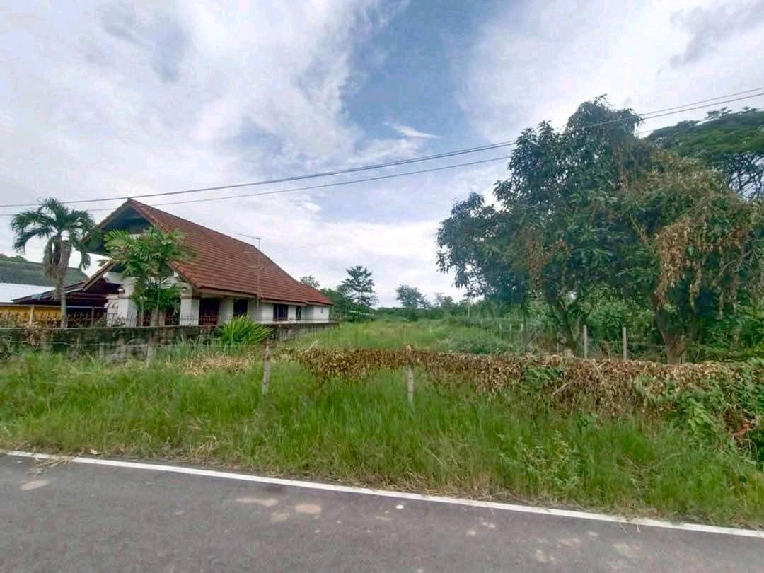 🏡 ปรับราคาแล้ว! ที่ดิน 85 ตร.ว. ใกล้เมืองเชียงใหม่ เพียง 2.38 ล้านบาท – รูปที่ 2