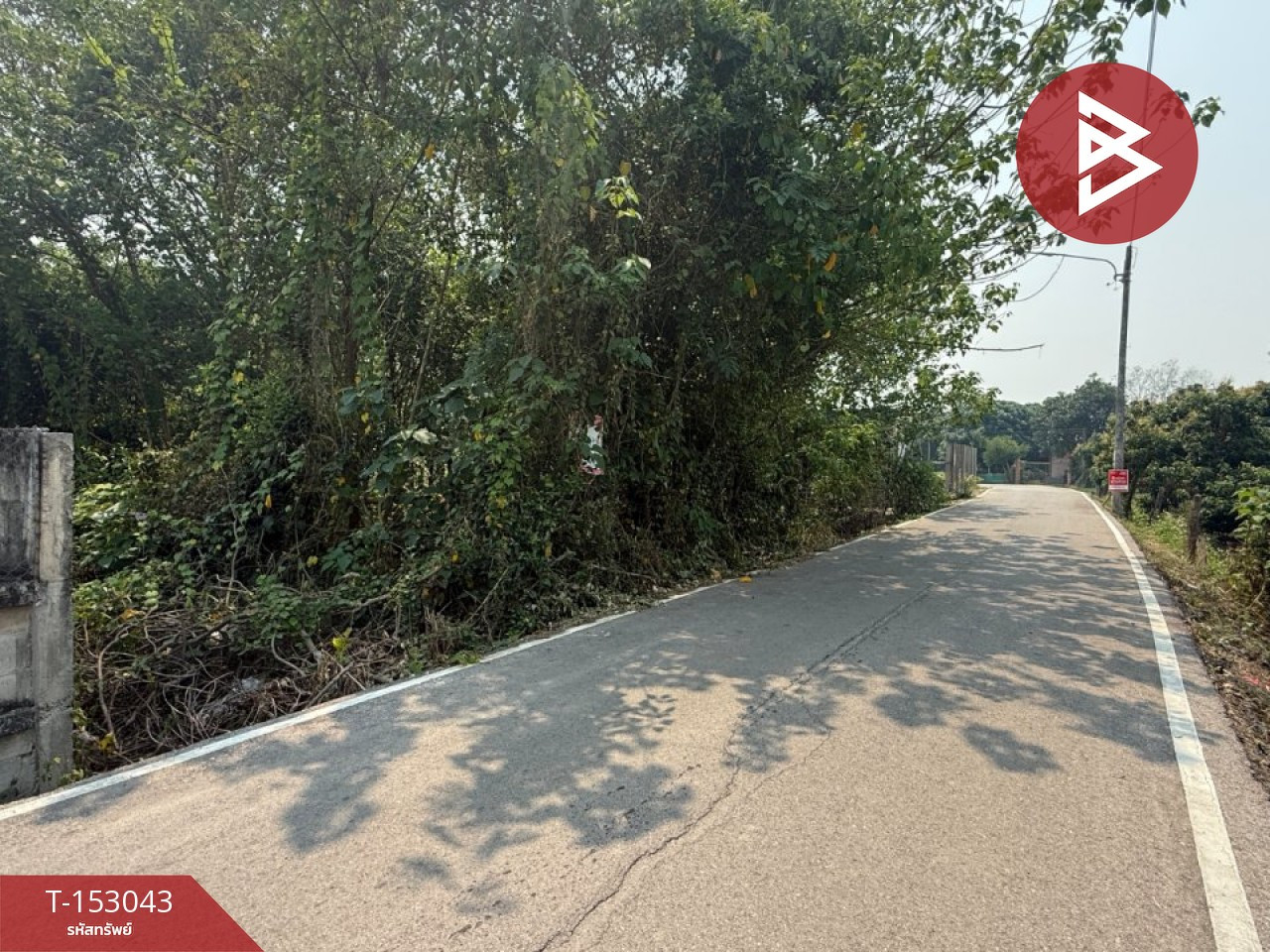 ขายที่ดิน เนื้อที่ 3 งาน 96 ตร.วา หางดง เชียงใหม่ – รูปที่ 4