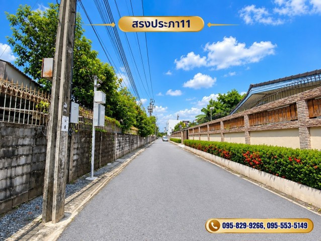 ขายที่ดินถมสูงกว่าถนน น้ำไม่ท่วมที่ดิน 1-3- 57 ไร่ สรงประภา 11 ล้อมรั้วแล้ว เข้าซอยเพียง 150 ม. ทำเลดี ใกล้สนามบิน ดอนเมือง กรุงเทพฯ – รูปที่ 4