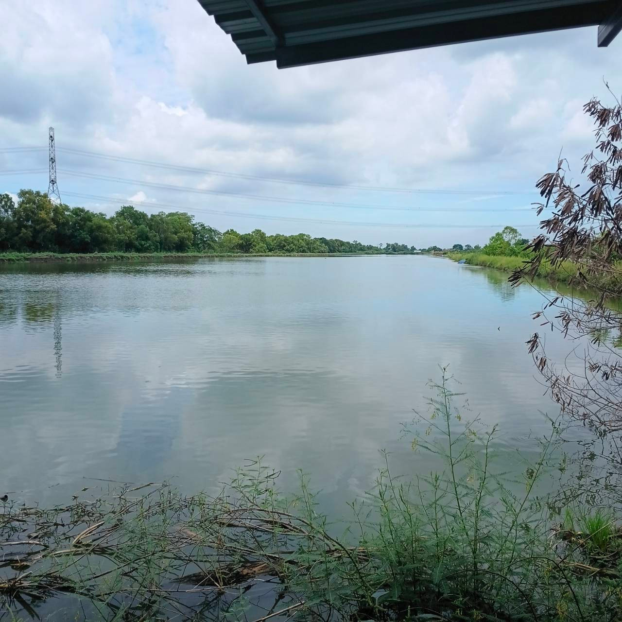 Urgently selling 60 rai of land, Khlong 12, Nong Suea, west side, Pathum Thani. – รูปที่ 3