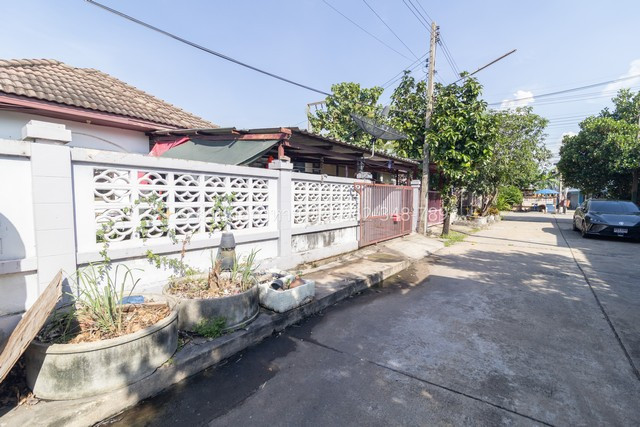 ขายบ้านเดี่ยวชั้นเดียว 52 ตร.ว. คันทรีปาร์ค 15 สามโคก ปทุมธานี ราคาถูกที่สุดในโครงการ! คุ้มกว่าซื้อบ้านเดี่ยวชั้นเดียวพร้อมอยู่ (ฟรีโอน)  – รูปที่ 2