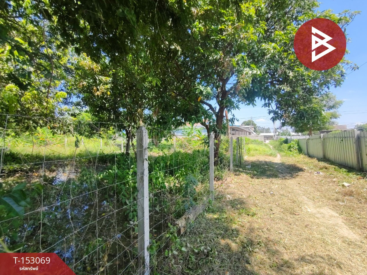 Land for sale, area 1 ngan, Ban Pong District, Ratchaburi Province, near Hub Krathing Market. – รูปที่ 3
