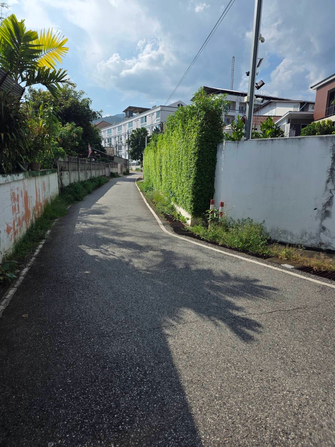Empty land for rent behind CMU. – รูปที่ 2