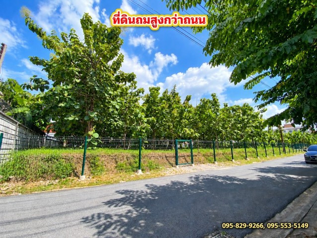 ขายที่ดินถมสูงกว่าถนน น้ำไม่ท่วมที่ดิน 1-3- 57 ไร่ สรงประภา 11 ล้อมรั้วแล้ว เข้าซอยเพียง 150 ม. ทำเลดี ใกล้สนามบิน ดอนเมือง กรุงเทพฯ – รูปที่ 2