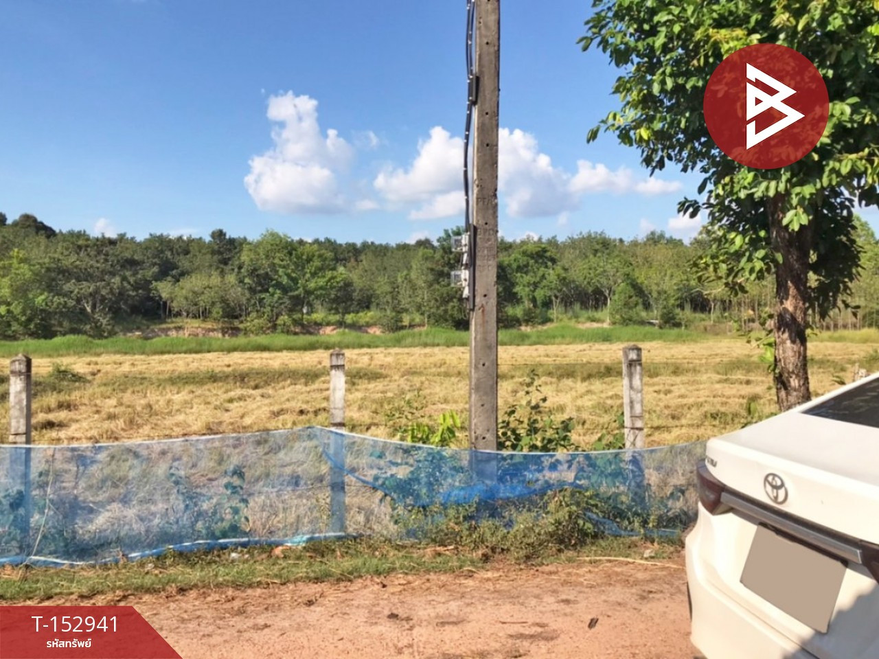 Land for sale, area 4 rai 3 ngan 63 square wa, Si Songkhram District, Nakhon Phanom, prime location. – รูปที่ 3