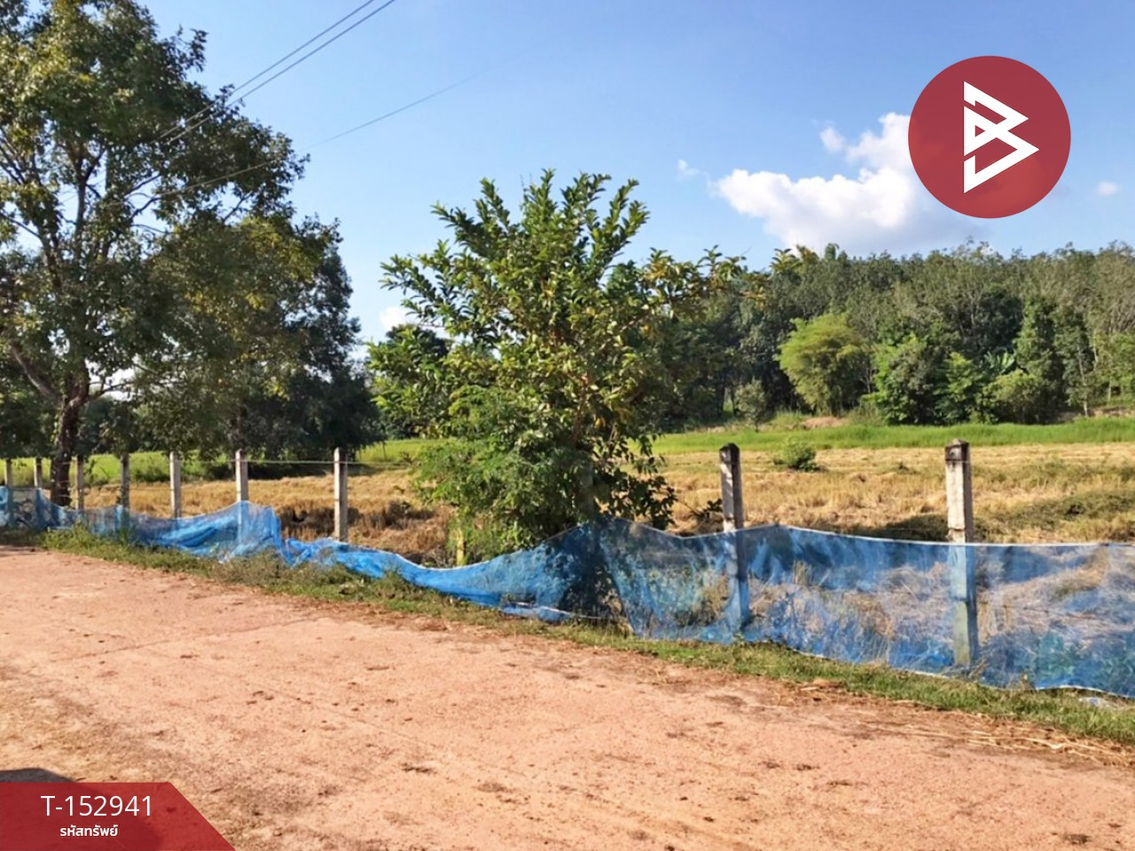 Land for sale, area 4 rai 3 ngan 63 square wa, Si Songkhram District, Nakhon Phanom, prime location. – รูปที่ 4