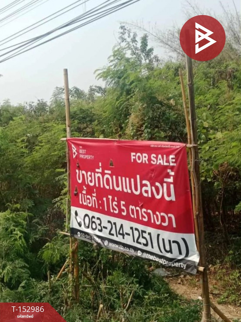 Land for sale, area 1 rai 5 sq m, Ban Hong, Lamphun. – รูปที่ 4