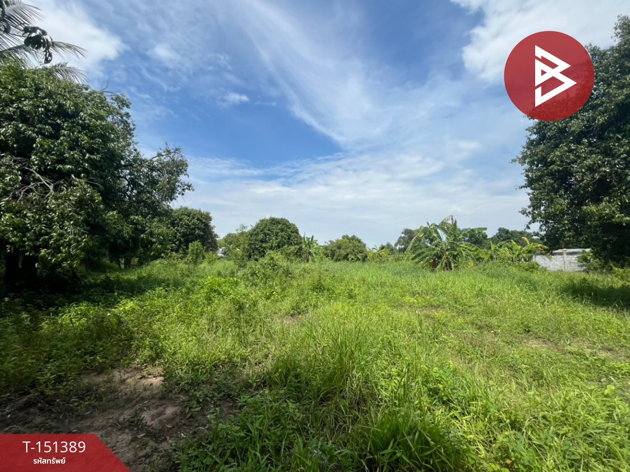 Land for sale, area 2 rai 93 sq m, Sam Chuk, Suphan Buri. – รูปที่ 3