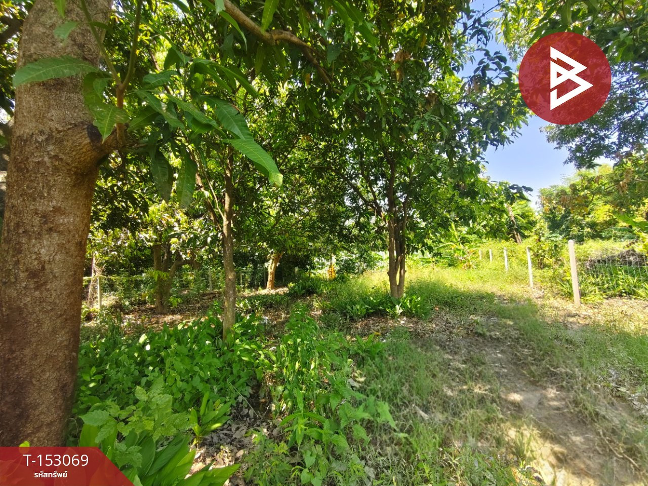 Land for sale, area 1 ngan, Ban Pong District, Ratchaburi Province, near Hub Krathing Market. – รูปที่ 4