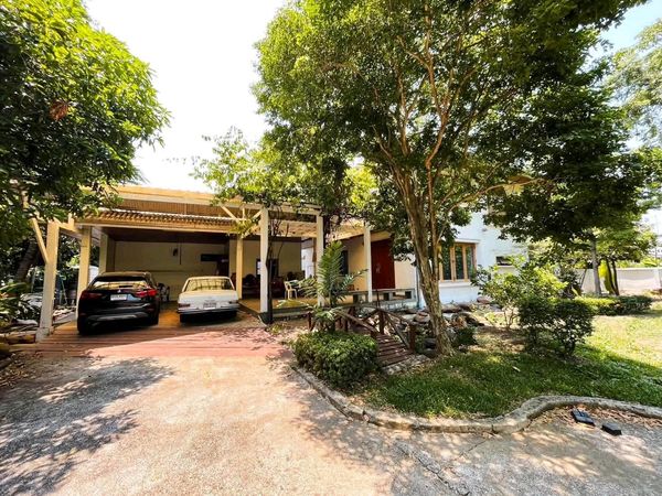 ✨ Big house, Makha wood floors throughout | Land 200 sq m. | Usable area 400 sq m.