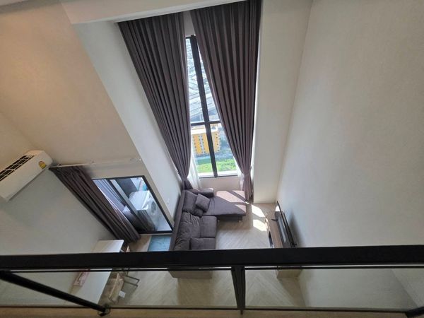 Unit Available at Siamese Sukhumvit 48 Multiple units available—prices negotiable!