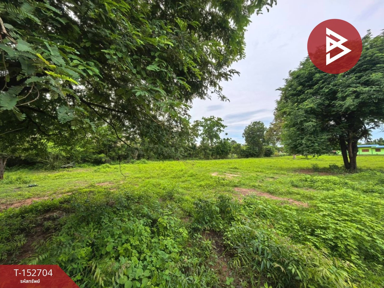 Land for sale, area 3 rai 3 ngan 99.9 sq m, Pak Tho, Ratchaburi.