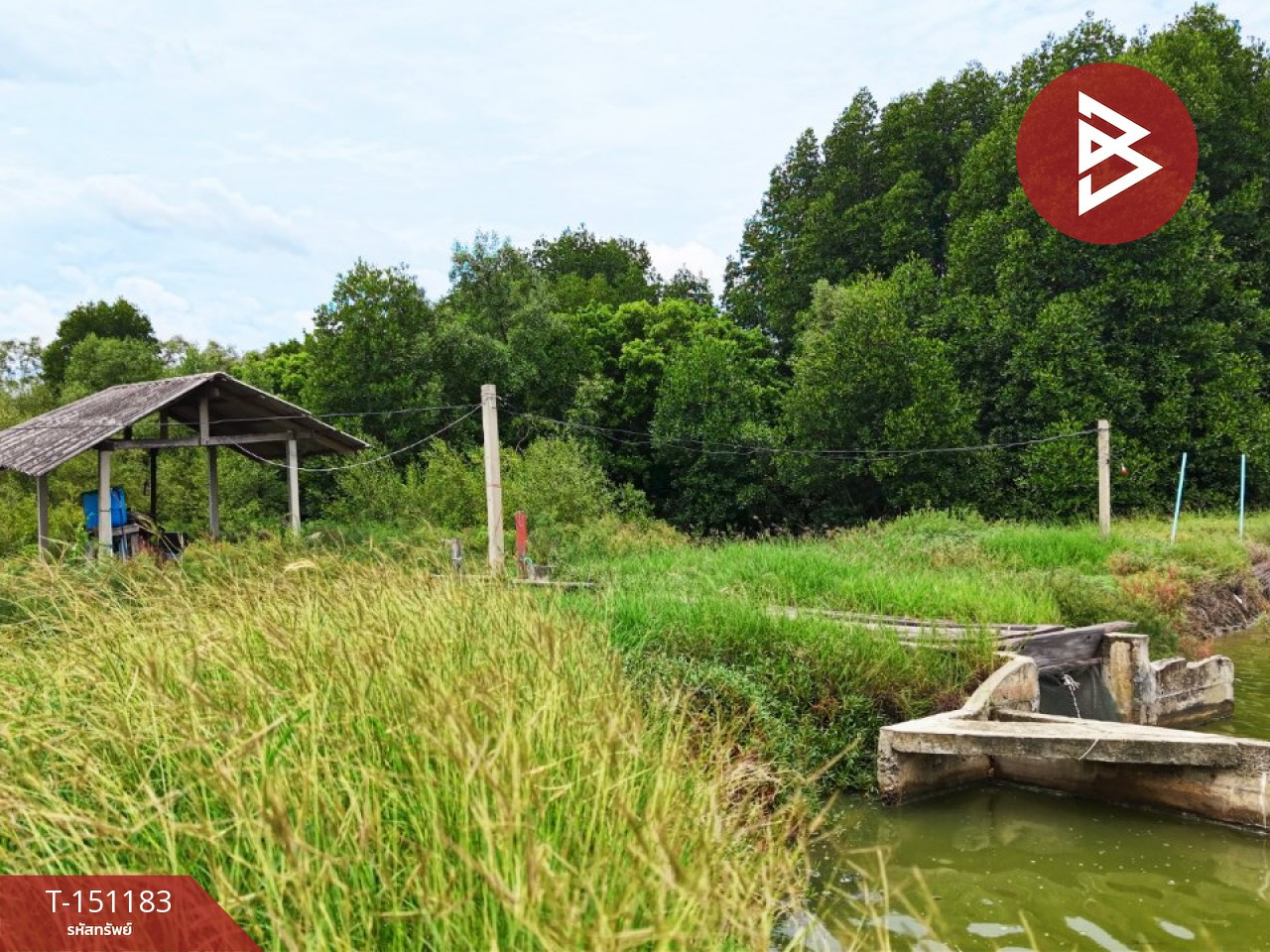 Land for sale, area 59 rai 3 ngan 85 sq m, Ban Laem, Phetchaburi. – รูปที่ 2