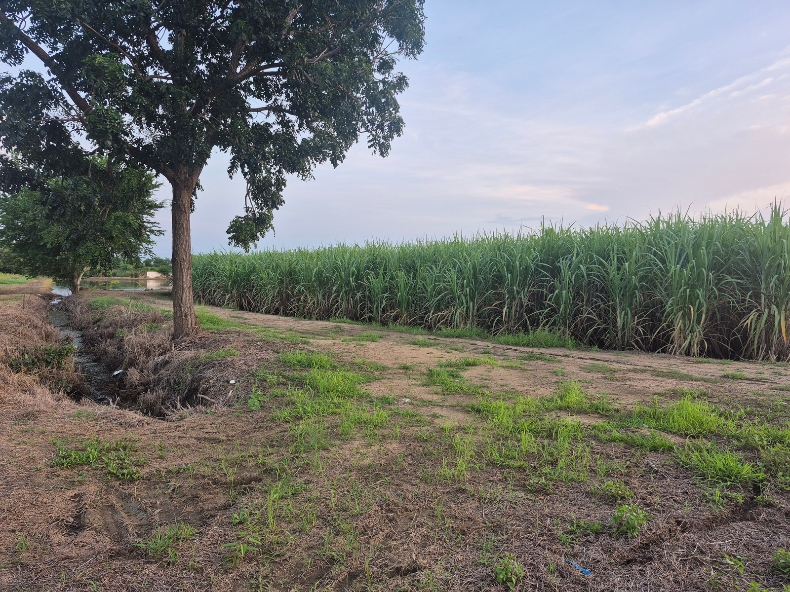 Land sale announcement Kamphaeng Saen District Nakhon Pathom Province – รูปที่ 2