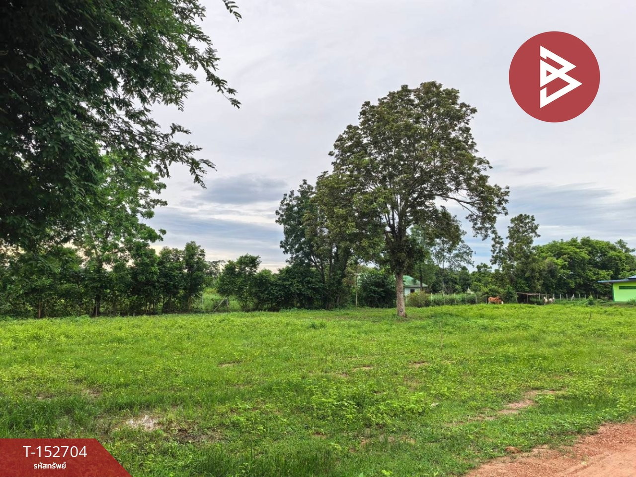 Land for sale, area 3 rai 3 ngan 99.9 sq m, Pak Tho, Ratchaburi. – รูปที่ 3