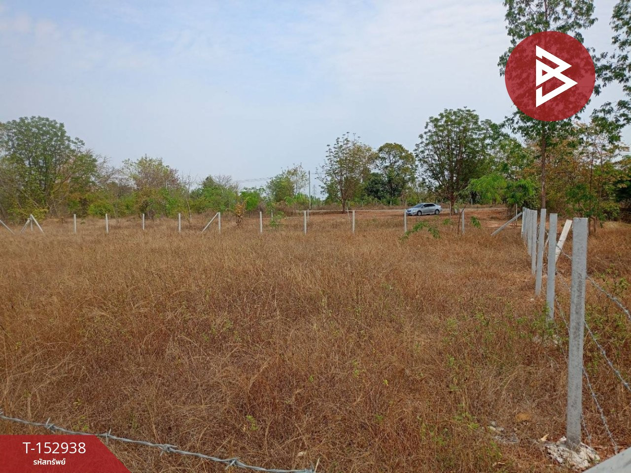 ขายที่ดิน เนื้อที่ 1 งาน 50 ตร.วา บ้านหว้า ขอนแก่น – รูปที่ 3