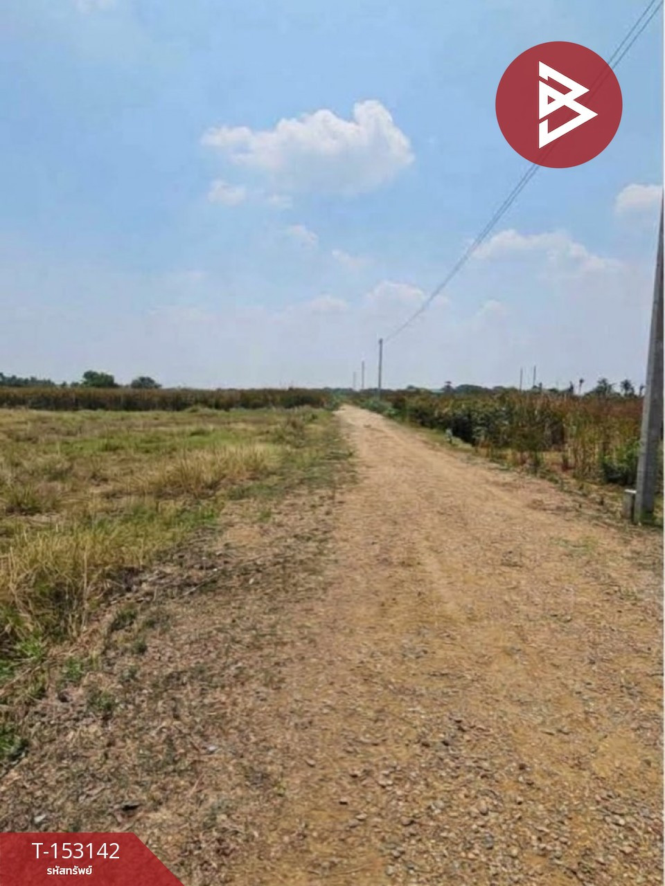 Land for sale, area 3 rai 1 ngan 52 sq m, Kamphaeng Saen, Nakhon Pathom. – รูปที่ 4