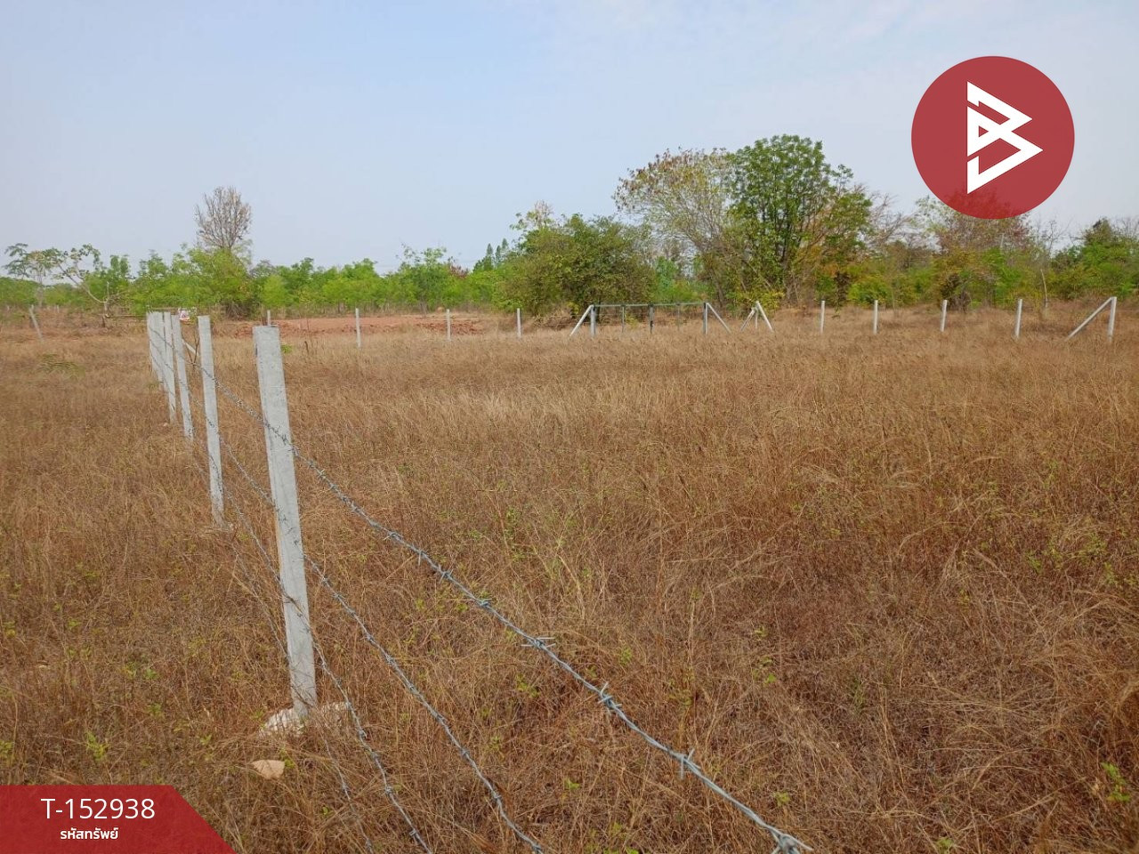 ขายที่ดิน เนื้อที่ 1 งาน 50 ตร.วา บ้านหว้า ขอนแก่น – รูปที่ 2