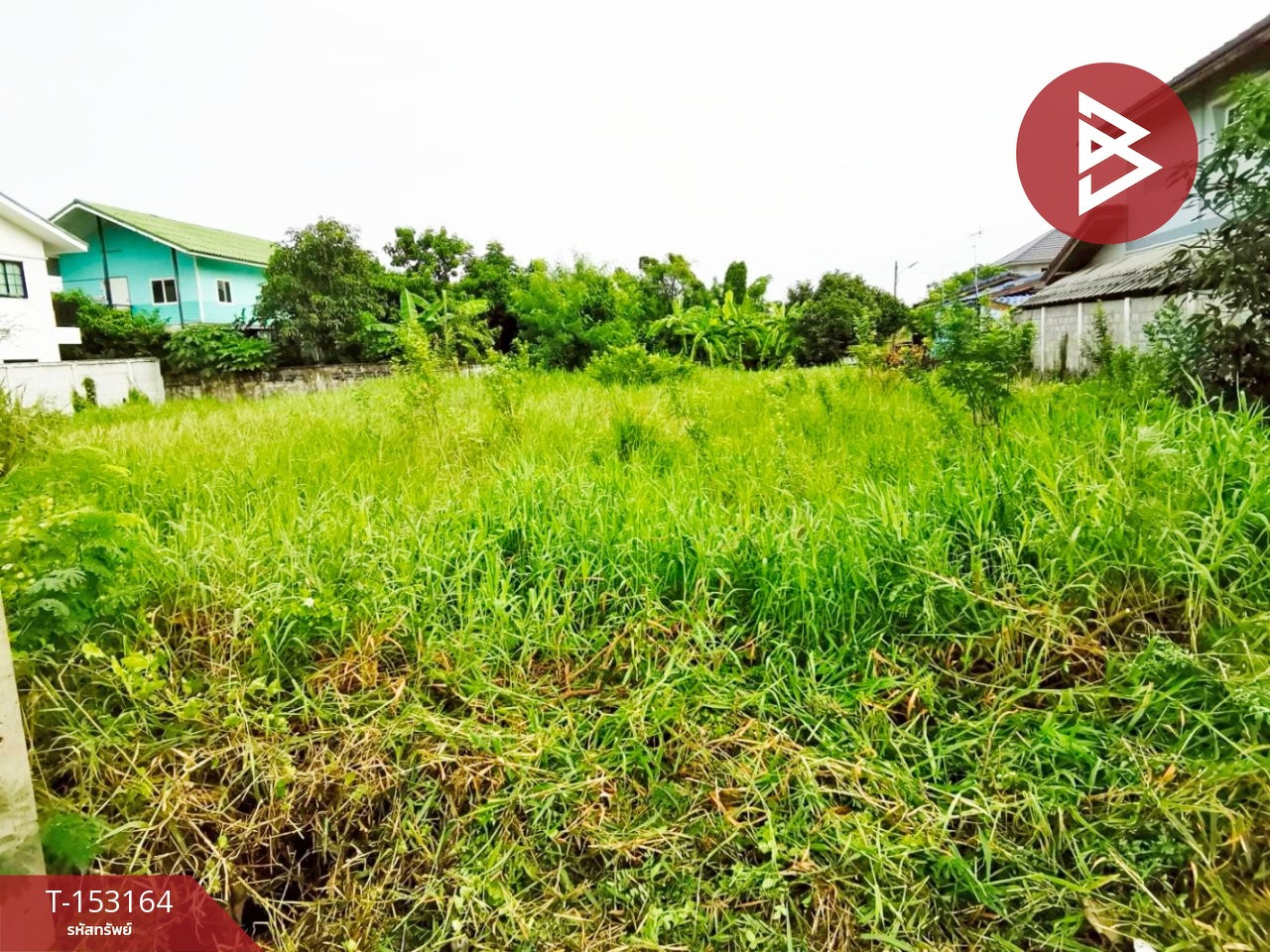 Land for sale, area 69 sq m, Phutthamonthon, Nakhon Pathom – รูปที่ 4