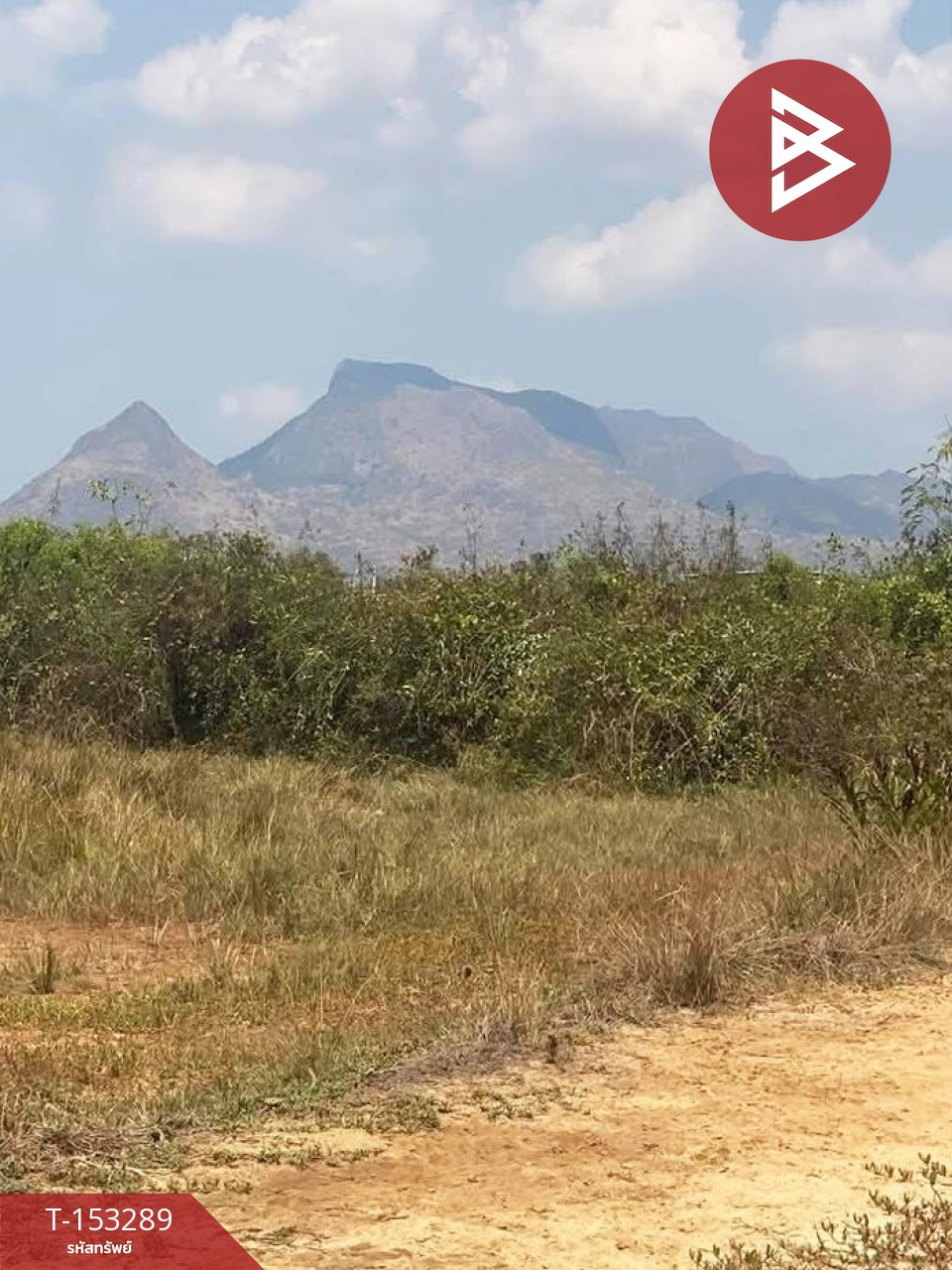 ขายด่วนที่ดิน เนื้อที่ 8 ไร่ กุยบุรี ประจวบคีรีขันธ์ ติดถนน วิวเขา บรรยากาศดี – รูปที่ 3