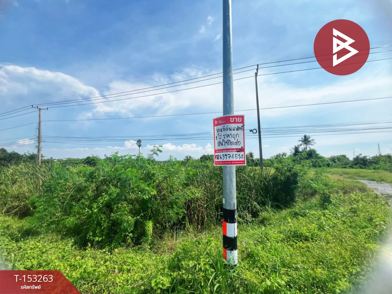 Land for sale, area 1 rai, Pho Phraya, Suphanburi. – รูปที่ 4