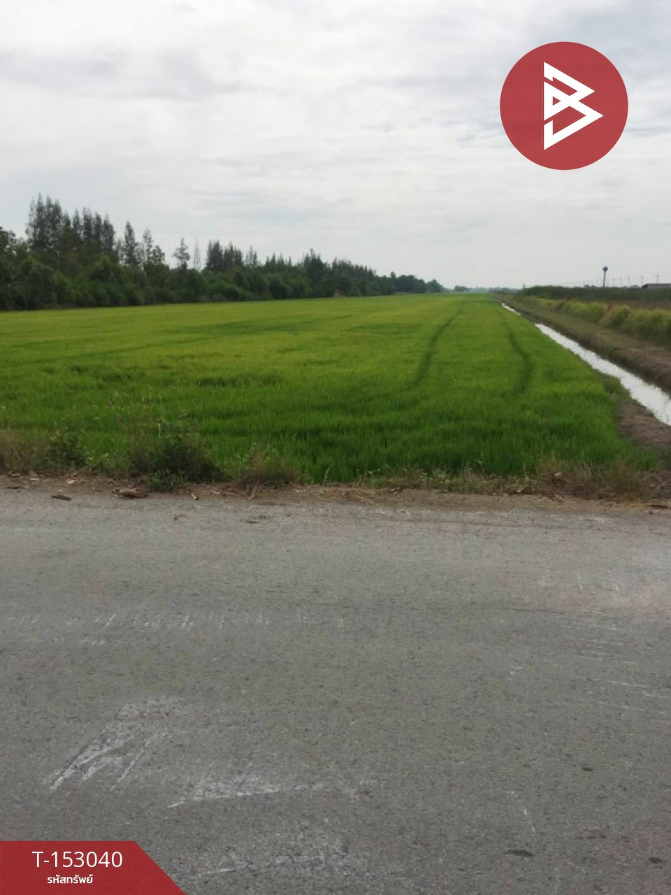 ขายที่ดิน เนื้อที่ 49 ไร่ 2 งาน 75 ตร.วา องครักษ์ นครนายก