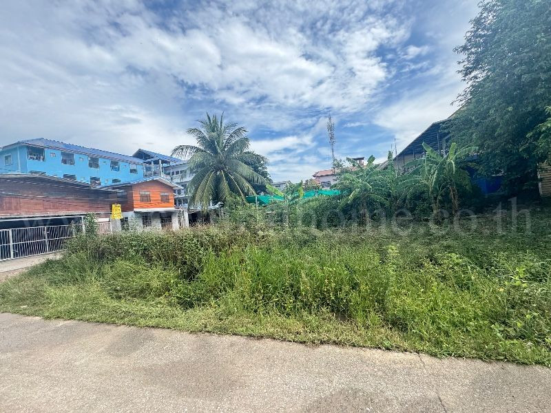 ที่ดิน ซอยเรณูอุทิศ ลาดหลุมแก้ว 120 ตารางวา ติดถนน 3 ด้าน ห่างถนนใหญ่เพียงประมาณ 100 เมตร – รูปที่ 2