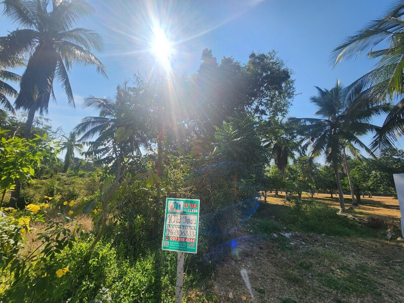 88472 - Beautiful land for sale in Coconut Sam Roi Yot. Prachuap Khiri Khan 88472 - Beautiful land for sale in Coconut Sam Roi Yot. Prachuap Khiri Khan