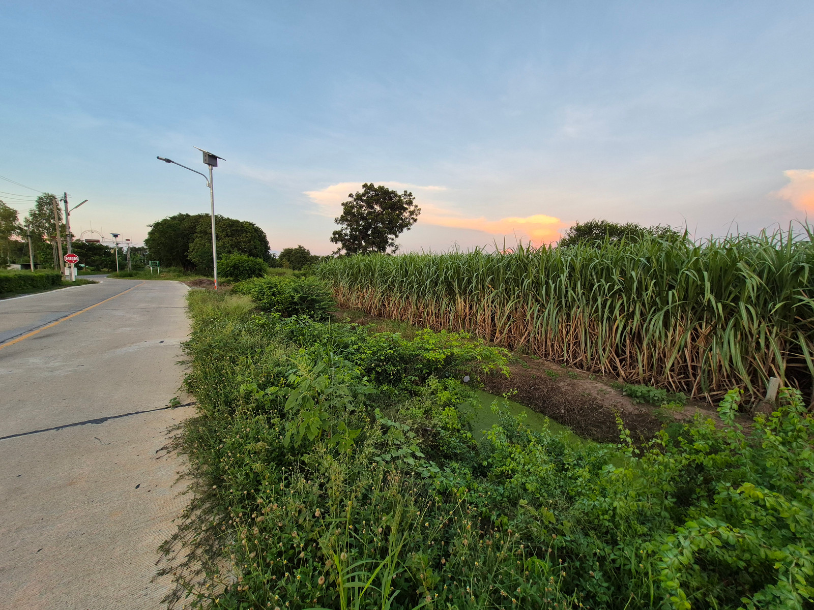 Land sale announcement Kamphaeng Saen District Nakhon Pathom Province – รูปที่ 4