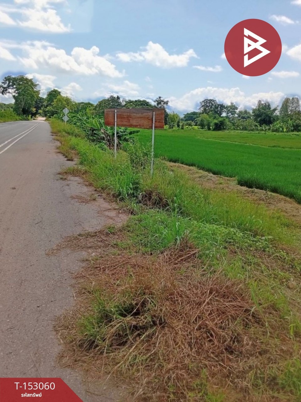 ขายที่ดิน เนื้อที่ 5 ไร่ 3 งาน 27.4 ตร.วา คอนสาร ชัยภูมิ  – รูปที่ 3