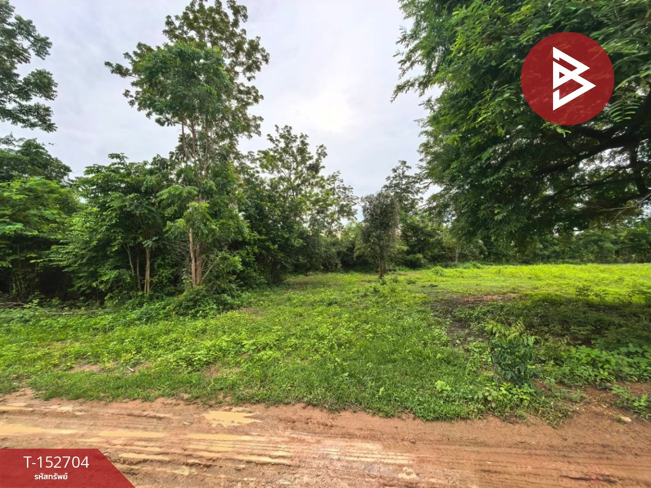 Land for sale, area 3 rai 3 ngan 99.9 sq m, Pak Tho, Ratchaburi. – รูปที่ 4