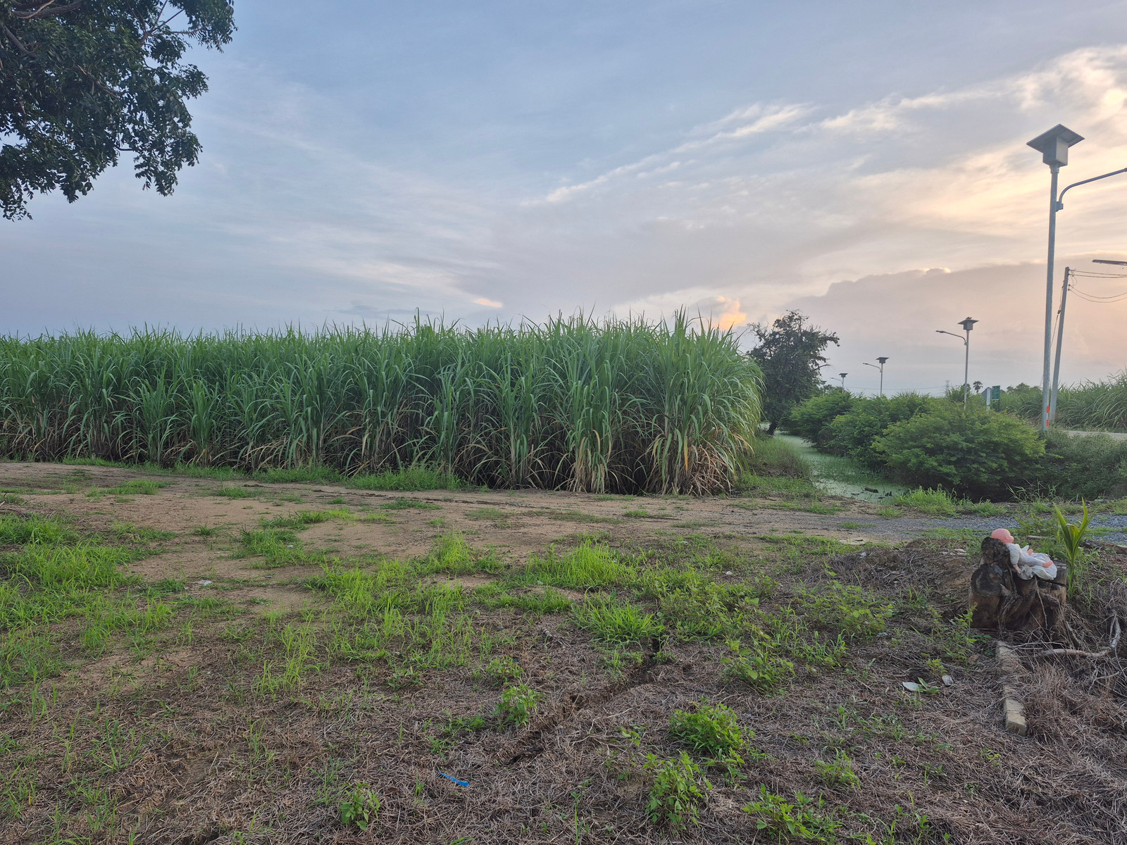 Land sale announcement Kamphaeng Saen District Nakhon Pathom Province – รูปที่ 3