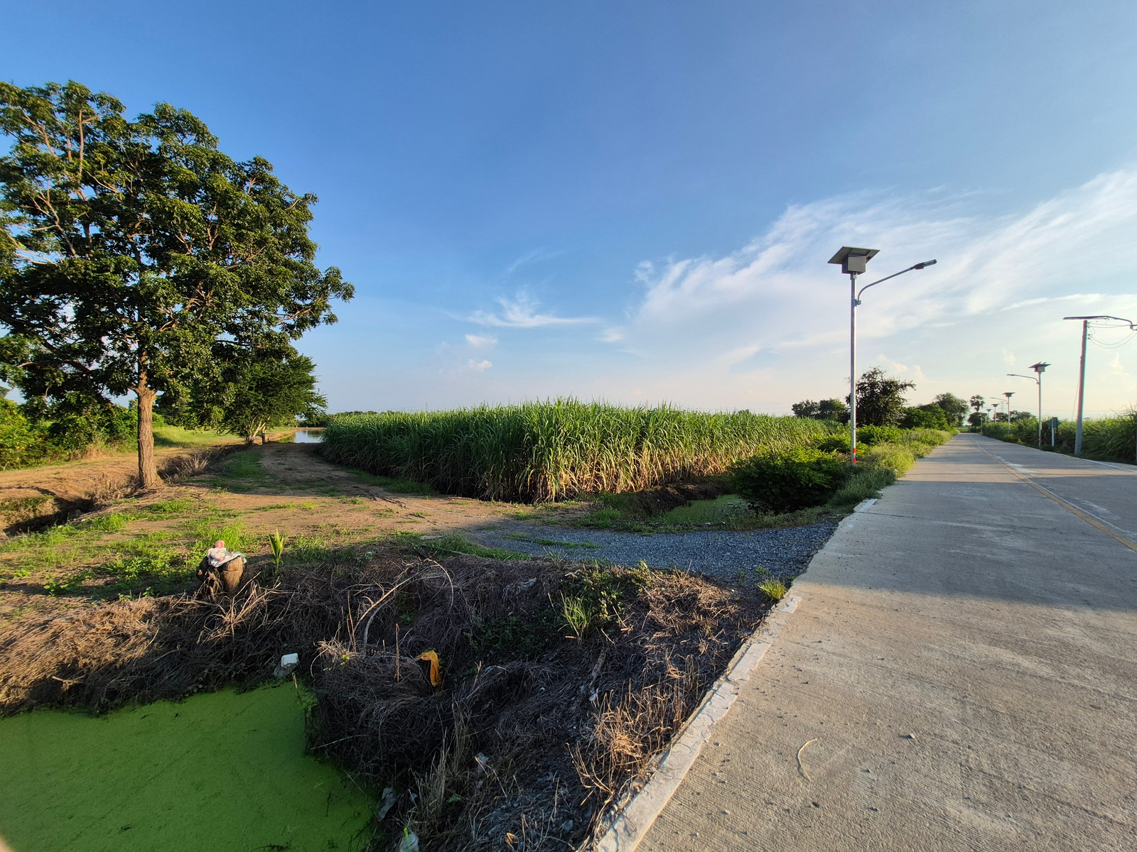 Land sale announcement Kamphaeng Saen District Nakhon Pathom Province