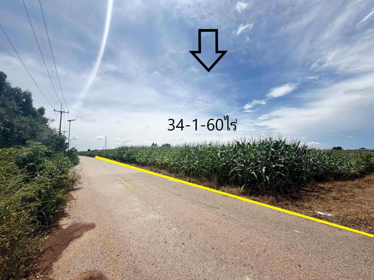 ขายที่ดิน 34 ไร่ ถนนเส้นสัตหีบ-พนมสารคาม(331)  จ.ฉะเชิงเทรา 