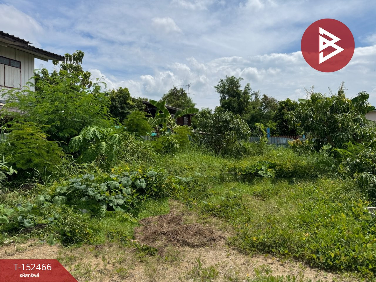 ขายที่ดิน เนื้อที่ 1 งาน บางปะกง ฉะเชิงเทรา – รูปที่ 2