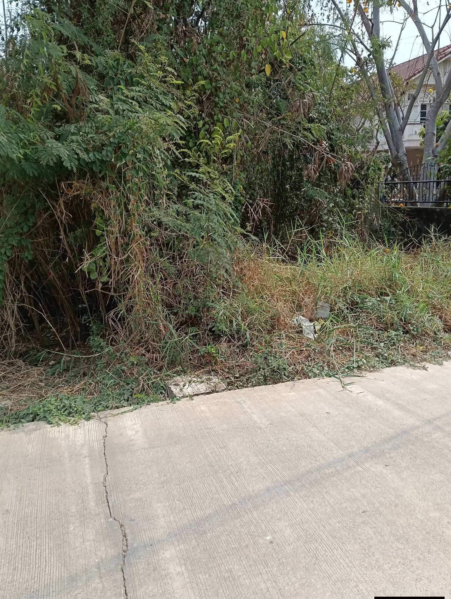 Empty land for sale, good location, area 246 square meters.