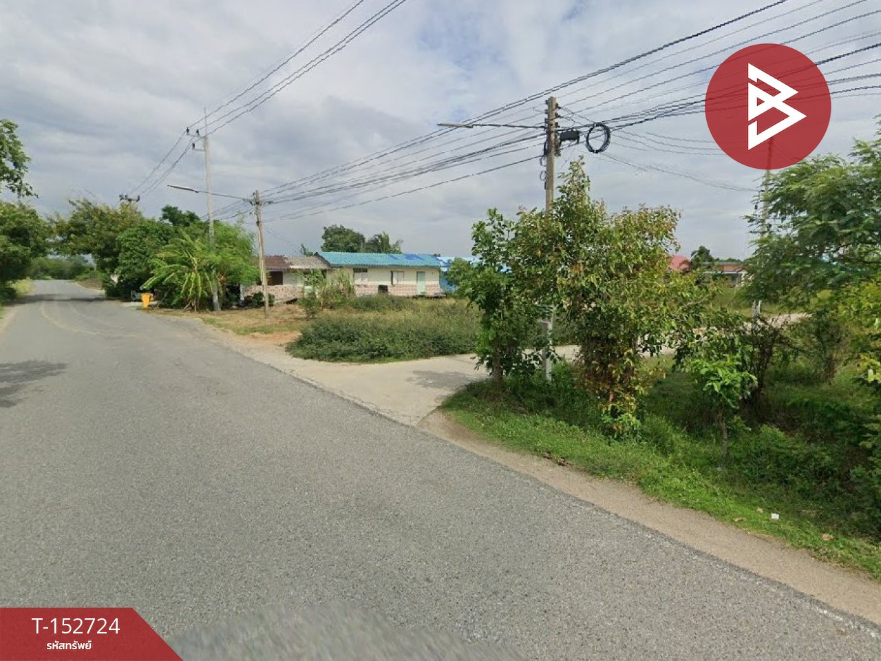 ขายที่ดิน เนื้อที่ 24 ไร่ 2 งาน บางผึ้ง ฉะเชิงเทรา – รูปที่ 3