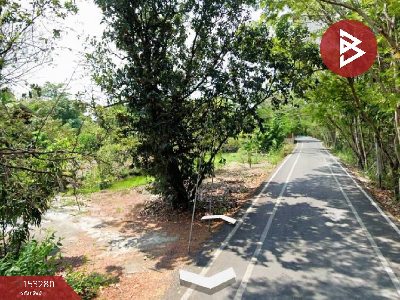 ขายที่ดิน เนื้อที่ 233 ตร.วา เพชรหึงษ์ 28 พระประแดง สมุทรปราการ วิถีธรรมชาติใกล้เมือง – รูปที่ 4