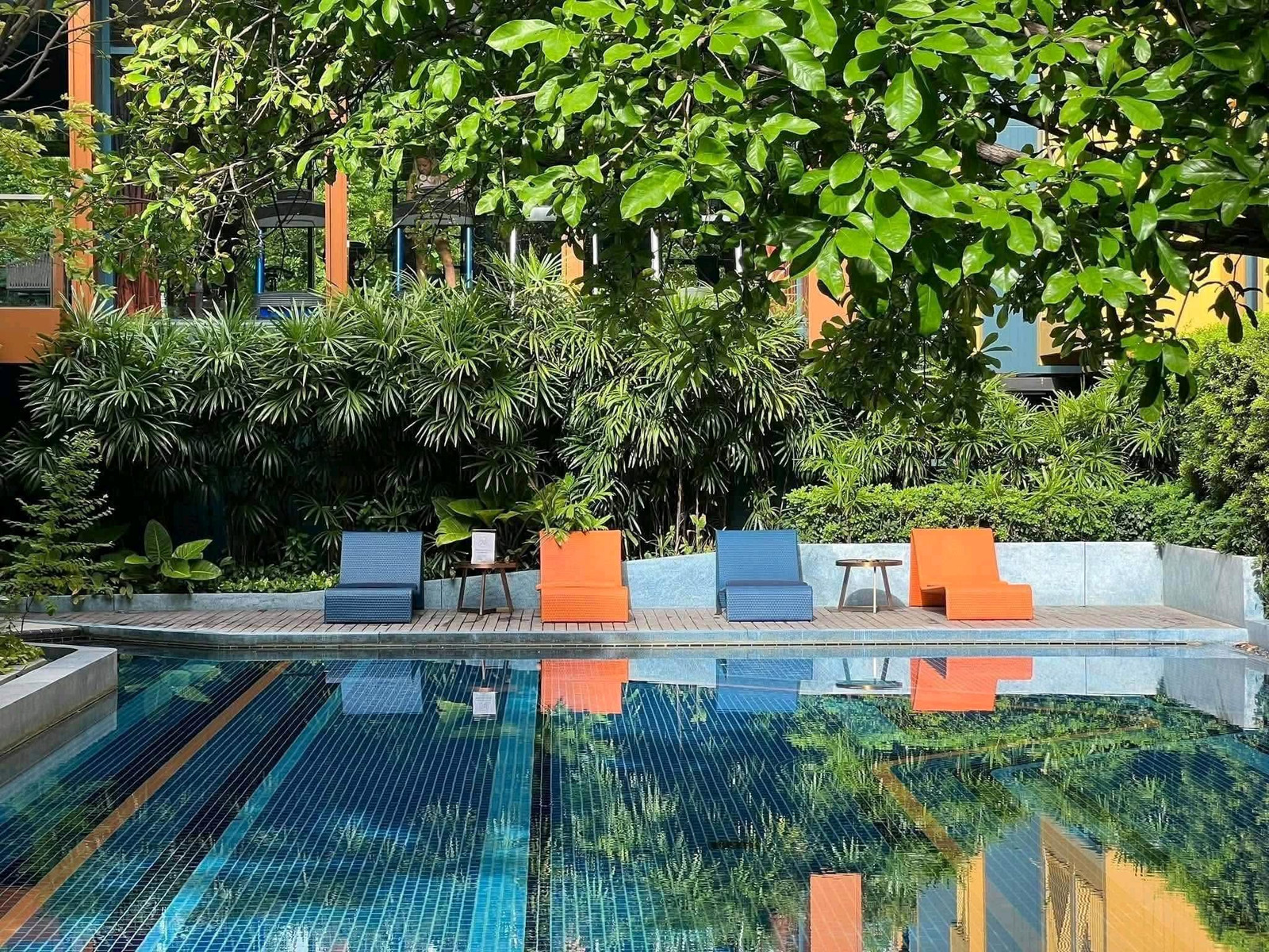 ปล่อยเช่า The Base Sukhumvit 50  – รูปที่ 4
