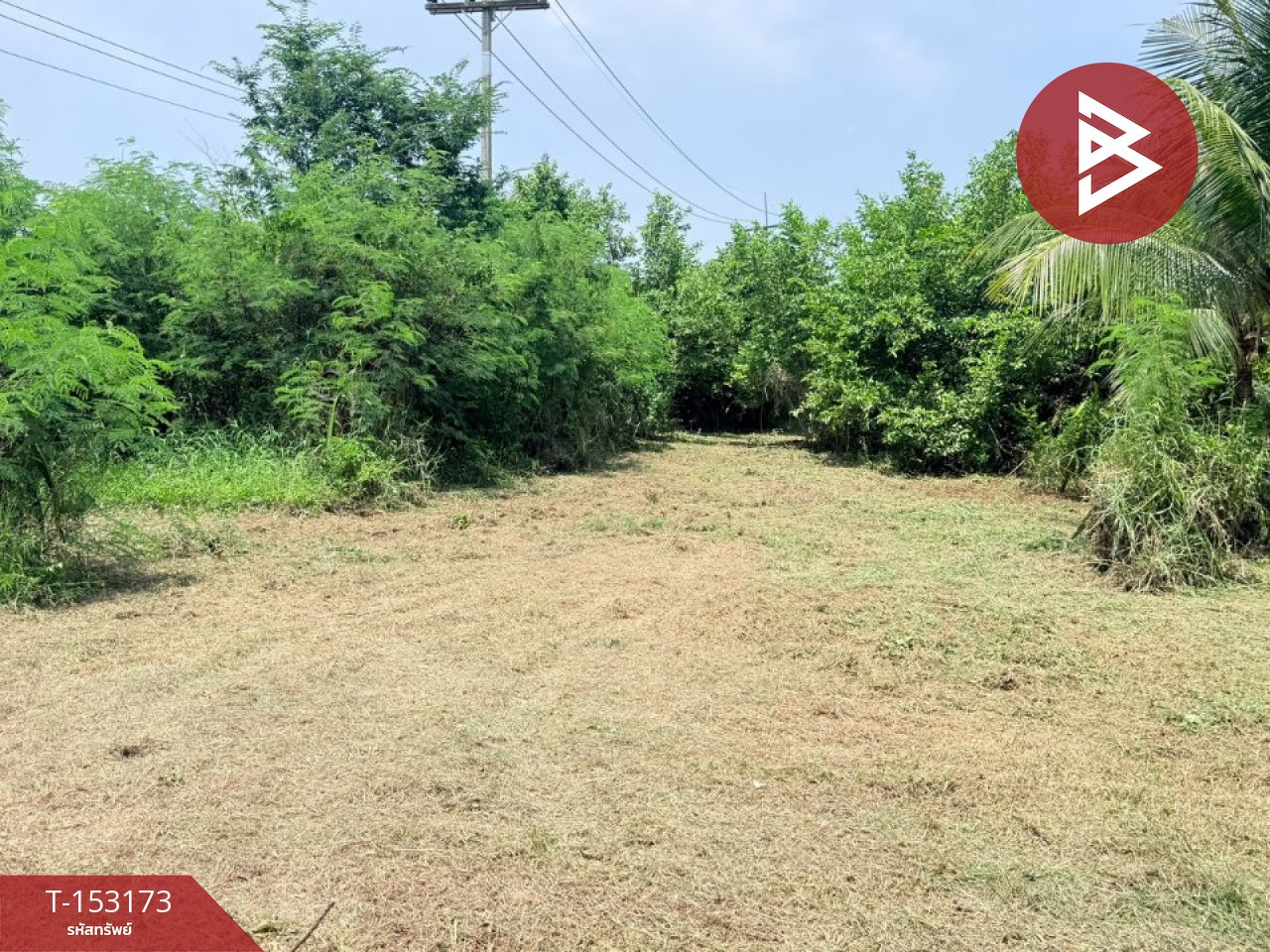 ขายที่ดิน เนื้อที่ 5 ไร่ 3 งาน 75.2 ตร.วา หัวไทร นครศรีธรรมราช – รูปที่ 2