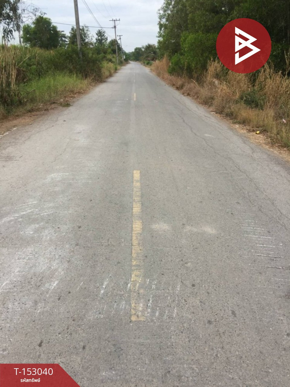 ขายที่ดิน เนื้อที่ 49 ไร่ 2 งาน 75 ตร.วา องครักษ์ นครนายก – รูปที่ 3