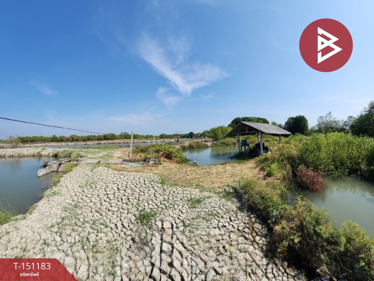 Land for sale, area 59 rai 3 ngan 85 sq m, Ban Laem, Phetchaburi. – รูปที่ 3