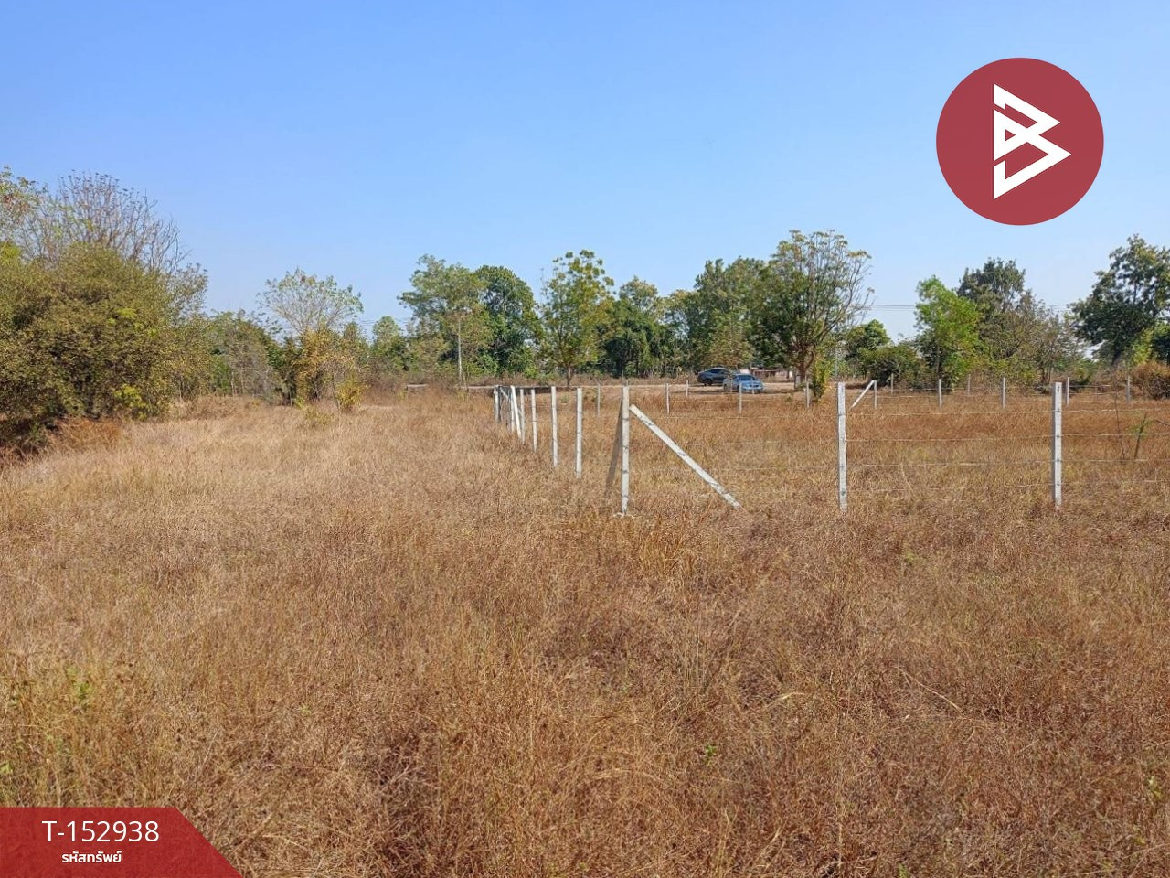 ขายที่ดิน เนื้อที่ 1 งาน 50 ตร.วา บ้านหว้า ขอนแก่น – รูปที่ 4