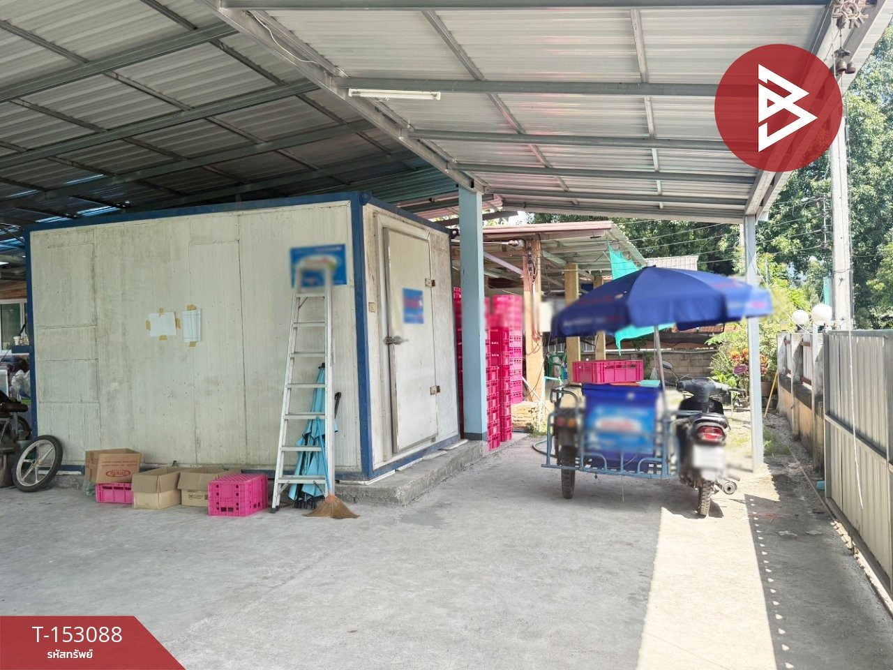 ขายบ้านเดี่ยวชั้นเดียว เนื้อที่ 1 งาน 4.8 ตร.วา บ้านโฮ่ง ลำพูน – รูปที่ 4