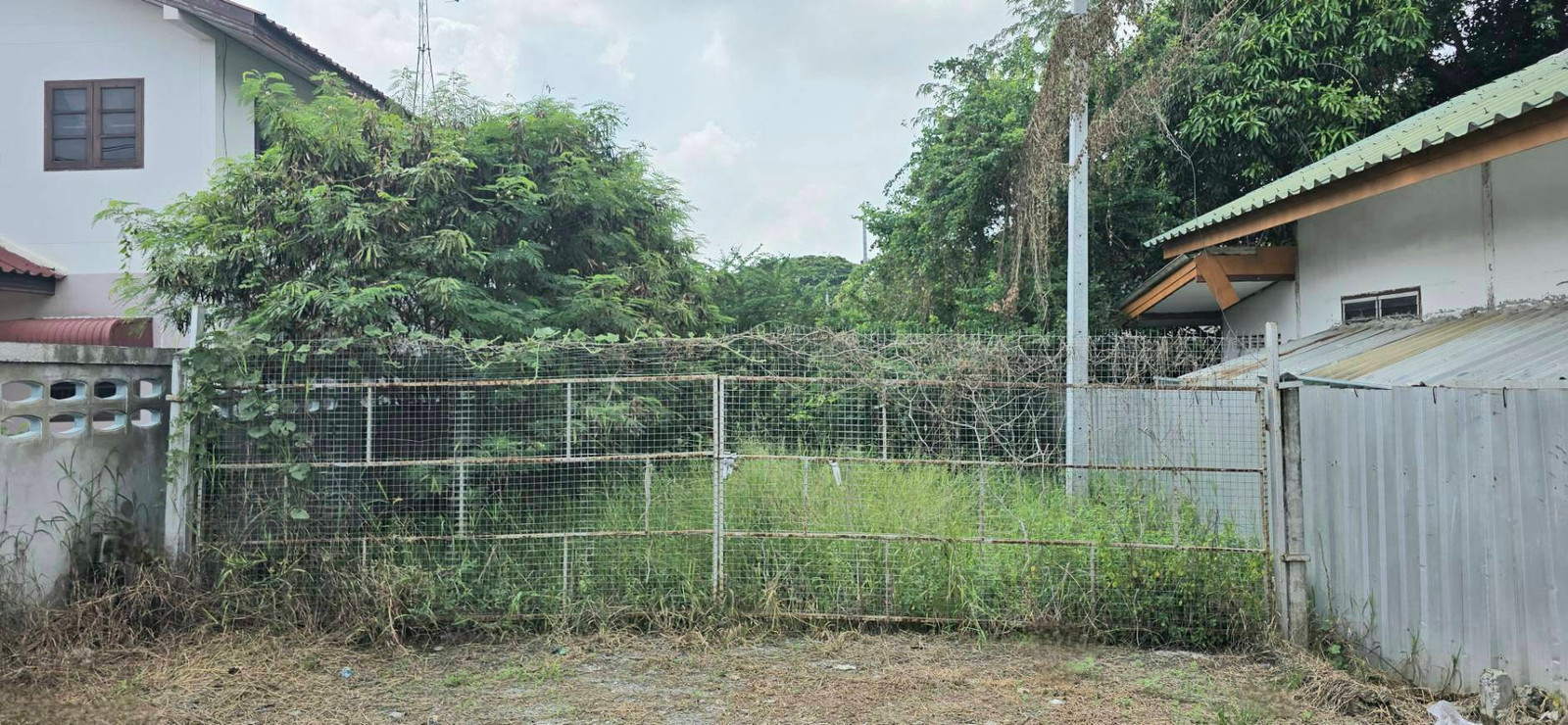 Empty land for sale, area 2 rai 3 ngan 60 square wah, Thanu Subdistrict, Uthai District, Phra Nakhon Si Ayutthaya Province. – รูปที่ 2